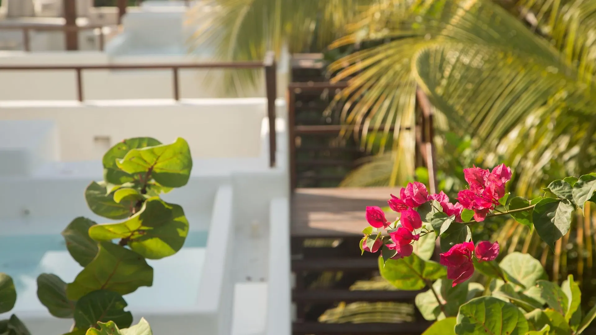 Chiringuito Tulum Hotel